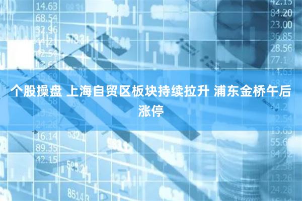 个股操盘 上海自贸区板块持续拉升 浦东金桥午后涨停