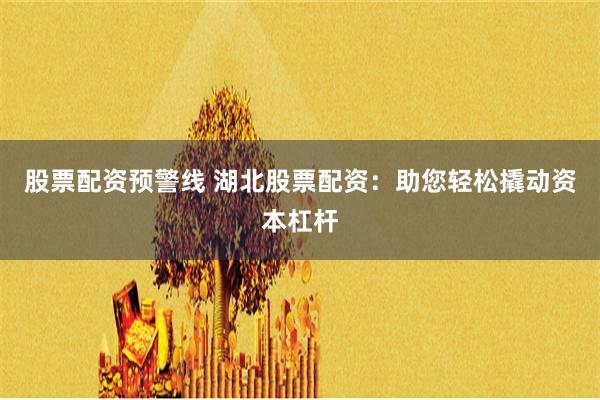 股票配资预警线 湖北股票配资：助您轻松撬动资本杠杆