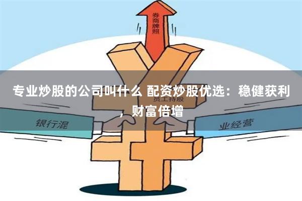 专业炒股的公司叫什么 配资炒股优选：稳健获利，财富倍增